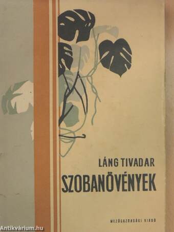 Szobanövények