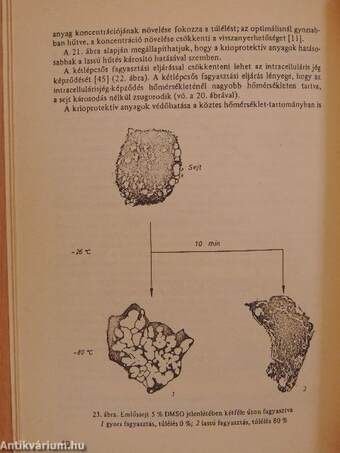 Mikroorganizmusok tartósítása és fenntartása