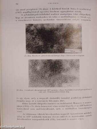 A Magyar Tudományos Akadémia Biológiai Tudományok Osztályának Közleményei VII. kötet 4. szám