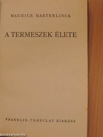 A termeszek élete