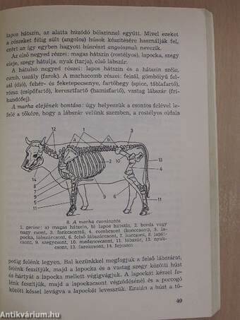 Ételkészítési technológia I-II.