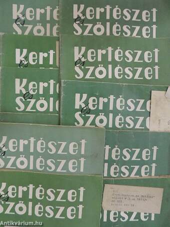 Kertészet és Szőlészet 1955. január-december