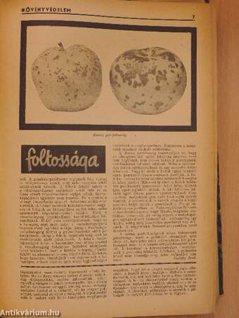 Növényvédelem 1944. (nem teljes évfolyam)/Kertészet 1944. (nem teljes évfolyam)/Növényvédelem és Kertészet 1947-1948 (nem teljes évfolyamok)