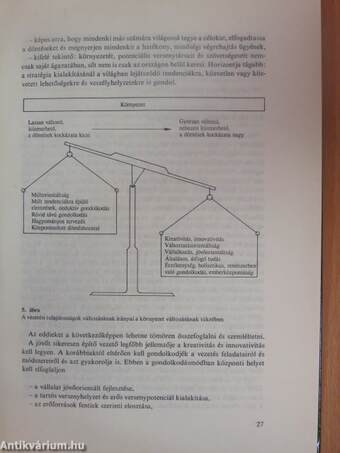 Stratégiai vezetés - vállalkozás