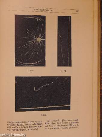 Természettudományi Közlöny 1913. január-december I-II.