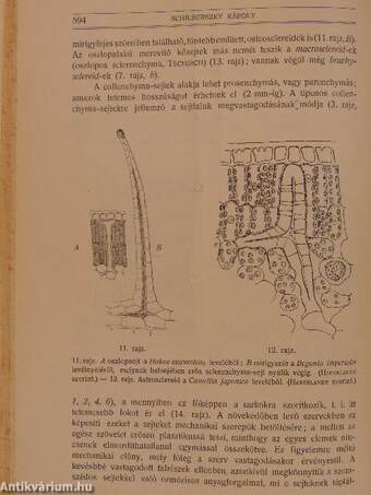 Természettudományi Közlöny 1913. január-december I-II.