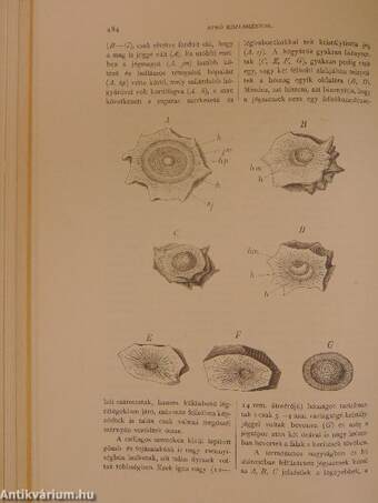 Természettudományi Közlöny 1894. (nem teljes évfolyam) (rossz állapotú)