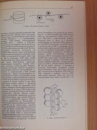 Biológiai lexikon (Kiegészítő az 1-4. kötethez)