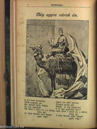 Mustármag 1908., 1910., 1912-1913., 1917., 1925-1926., 1928. (vegyes számok) (31 db)