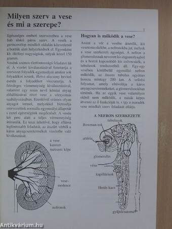 Amit a vesebetegségekről és gyógykezelésükről tudni kell