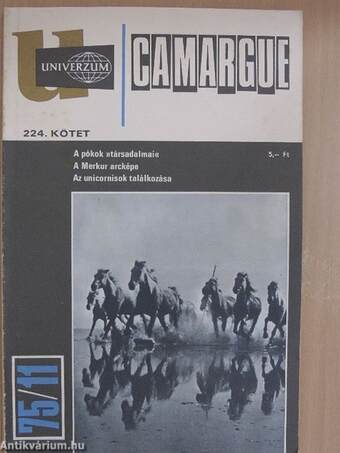 Camargue