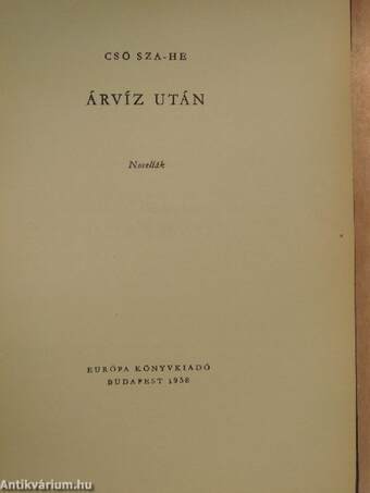 Árvíz után