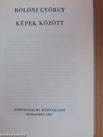 Képek között