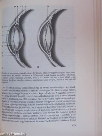 Az emberi test 1-2.