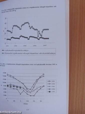 A munkaerő-piaci képzések elméleti és gyakorlati kérdései