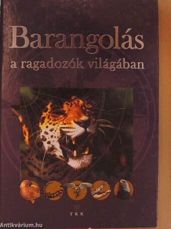 Barangolás a ragadozók világában