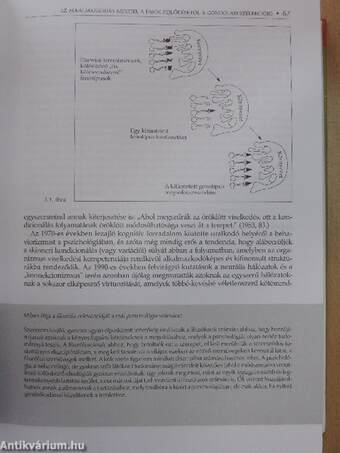 Bevezetés a pszichológiába