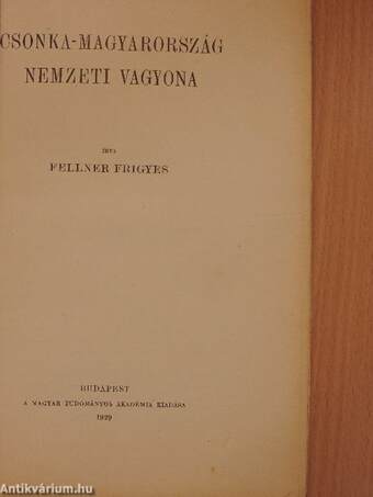 Csonka-Magyarország nemzeti vagyona