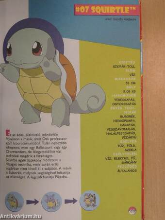 Hivatalos Pokémon kézikönyv