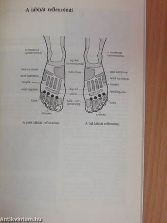 Reflexzóna-masszázs mindenkinek