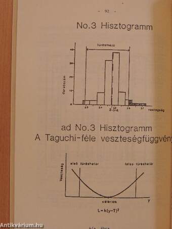 A magánvállalkozásokat fejlesztő központ szemináriumán 1992. június 17-én és a Philips cég előadás-sorozatán 1992. június 26-án elhangzott előadások gyűjteményes kiadványa