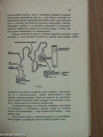 A vizforgalom és az uraemia kérdése a sebészeti vesebetegségekben