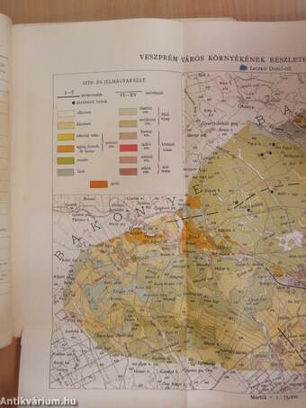 Veszprém városának és tágabb környékének geologiai leirása