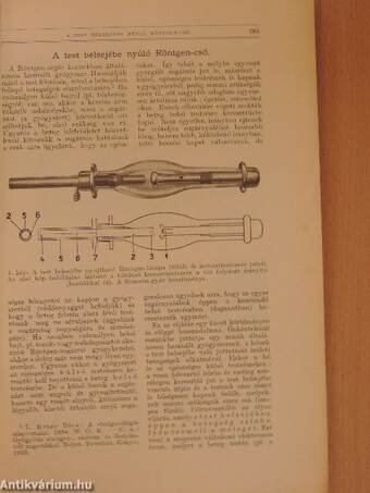 Természettudományi Közlöny 1935. (nem teljes évfolyam)