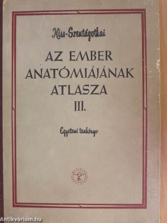 Az ember anatómiájának atlasza III. (töredék)