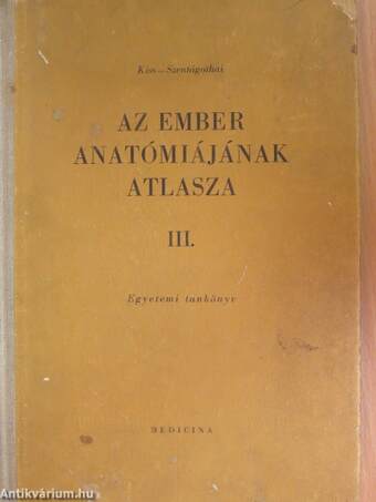 Az ember anatómiájának atlasza III. (töredék)