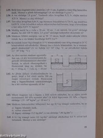 Fizika munkafüzet II.