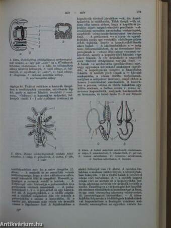 Biológiai lexikon 4. (töredék)