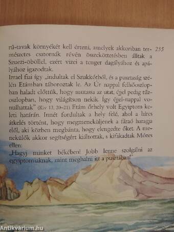 Képes Biblia 1. (töredék)