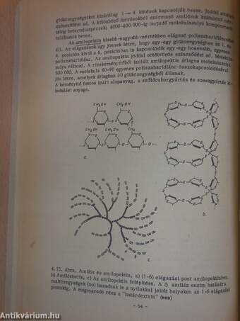 Biokémia I.