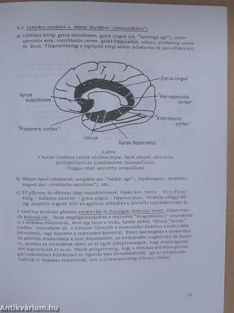 A magatartás, motiváció és érzelem pszichofiziológiai alapjai