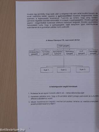 Esettanulmányok a Szervezet- és vezetéselmélet tárgyhoz