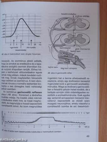 Biológia IV.