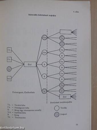 KÖJÁL előírások és ellenőrzésük a vendéglátásban