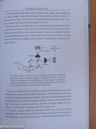 Schrödinger kiscicái és a valóság keresése