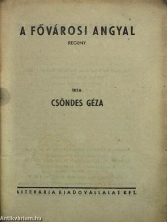 A fővárosi angyal