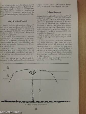 Új magasművelési módok a szőlőtermesztésben