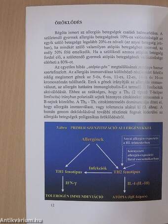 Allergia a gyermekkorban: Az "Atópiás Menet"