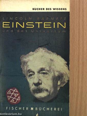 Einstein und das Universum