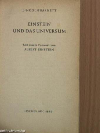 Einstein und das Universum