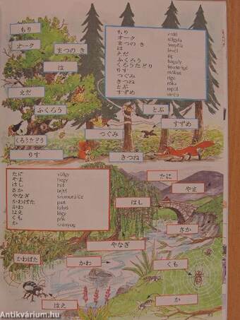 Kezdők japán nyelvkönyve
