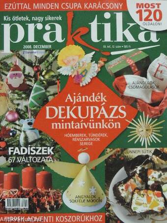 Praktika 2008. december