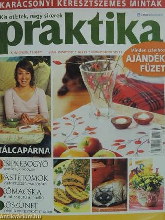 Praktika 2006. november