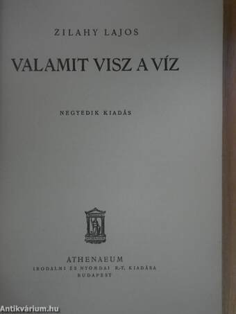 Valamit visz a víz