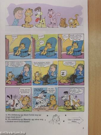 Garfield 1990/11.