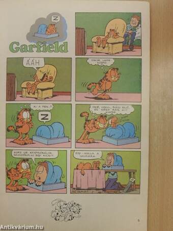 Garfield 1991/8.